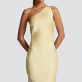 Feline | Bias-Cut Fluid Layered Skirt Sculpted Maxi Dress