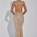 Stellara | Embellished Open Back Sequin Net Halter Maxi Dress