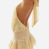 Willow | Open Back Ruffle Hem High-Neck Chiffon Mini Dress